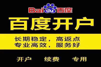 SEM主管实战：数据分析与策略调整